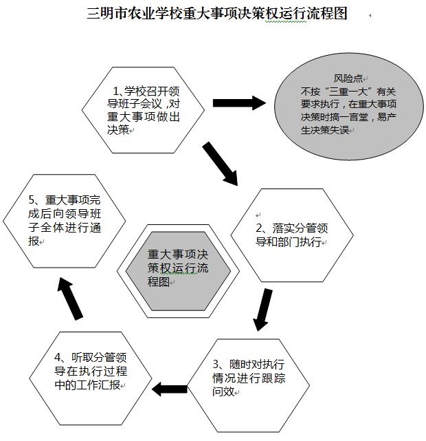 开云（中国）重大事项决策权运行流程图.JPG